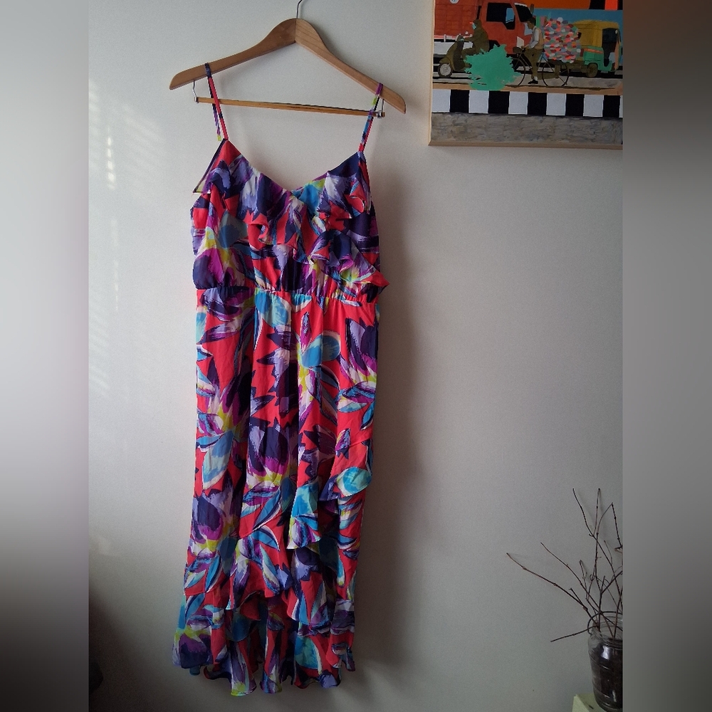 Sofia by Sofia Vergara Colorful Floral Dress